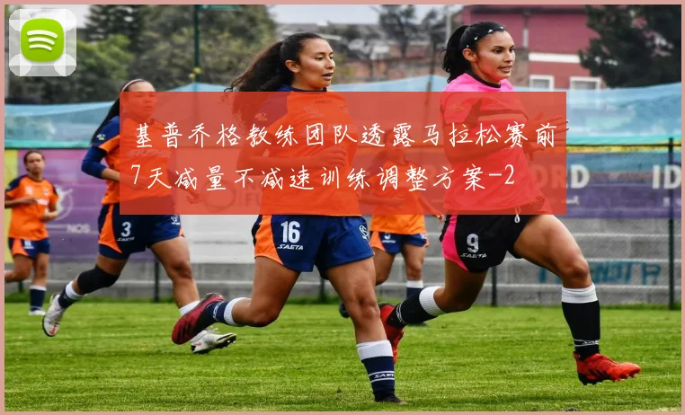 基普乔格教练团队透露马拉松赛前7天减量不减速训练调整方案