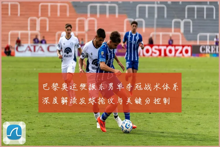 巴黎奥运樊振东男单夺冠战术体系深度解读发球抢攻与关键分控制