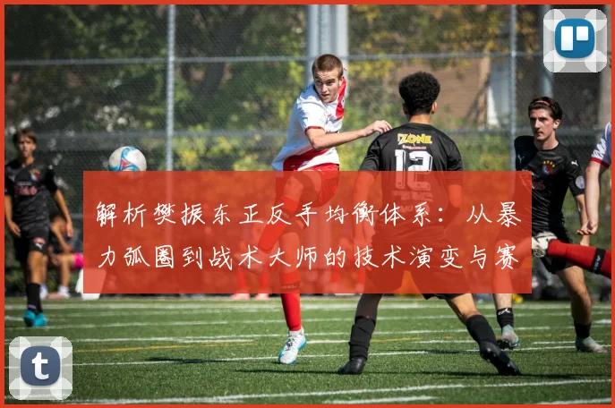 解析樊振东正反手均衡体系：从暴力弧圈到战术大师的技术演变与赛场统治力