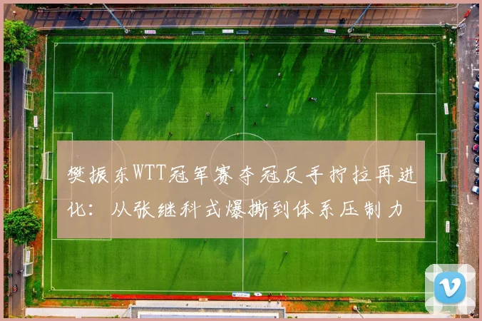 樊振东WTT冠军赛夺冠反手拧拉再进化：从张继科式爆撕到体系压制力的蜕变