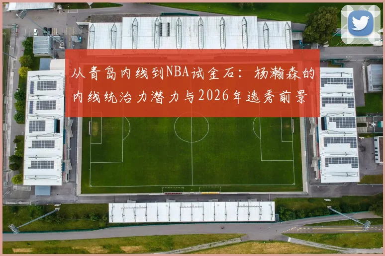 从青岛内线到NBA试金石：杨瀚森的内线统治力潜力与2026年选秀前景深度解析